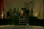 Imagem de Miniatura